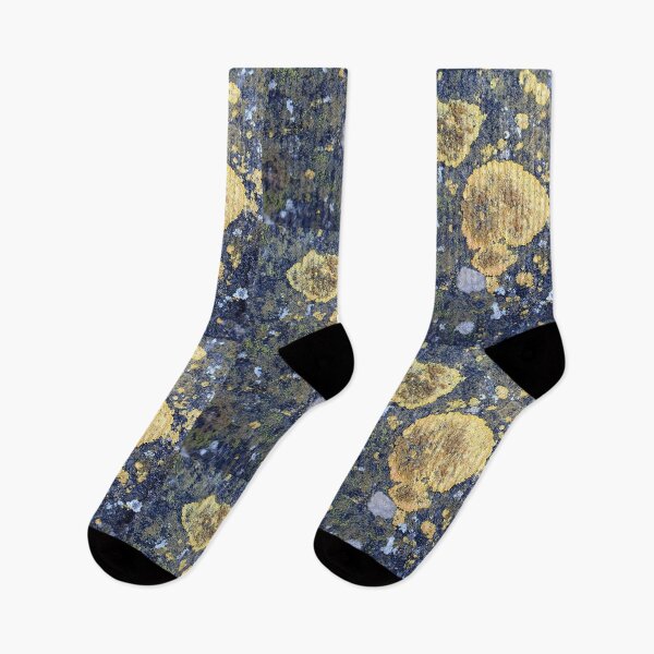 Item preview, Lichen Texture Macro Organic Pattern Nature Background designed and sold by onubi.