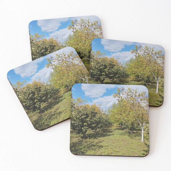 Item preview, Autumn Garden with Walnut and Hazelnut Trees designed and sold by inspiration3.