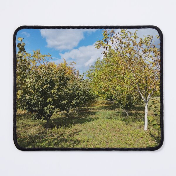 Item preview, Autumn Garden with Walnut and Hazelnut Trees designed and sold by inspiration3.