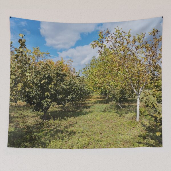 Item preview, Autumn Garden with Walnut and Hazelnut Trees designed and sold by inspiration3.