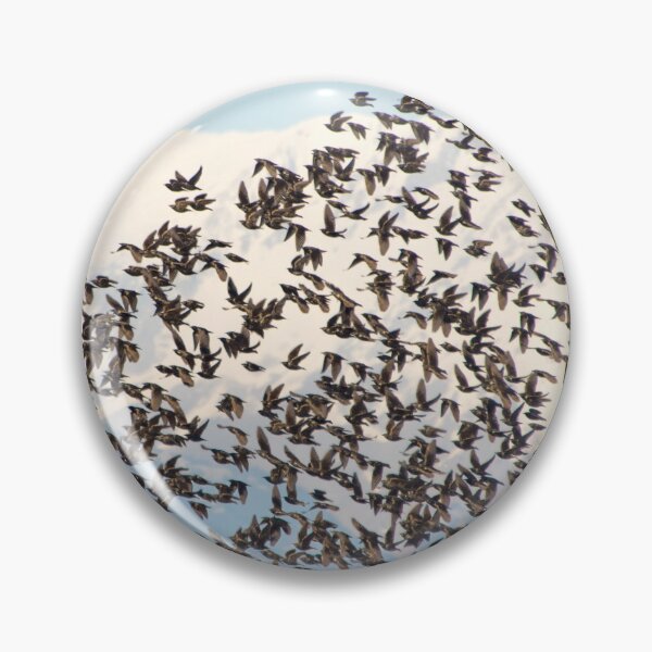 Item preview, Fly high  designed and sold by SkyLaboratory.