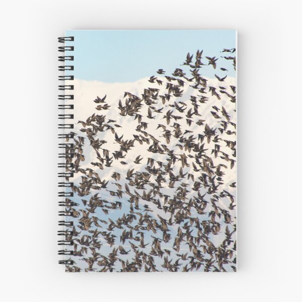Item preview, Fly high  designed and sold by SkyLaboratory.