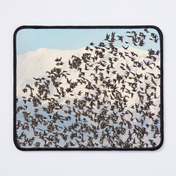 Item preview, Fly high  designed and sold by SkyLaboratory.