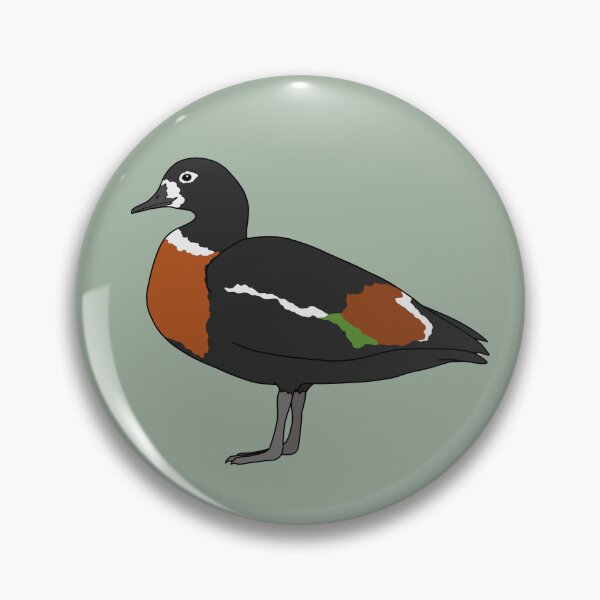 Item preview, Australian shelduck designed and sold by taylorrowan.