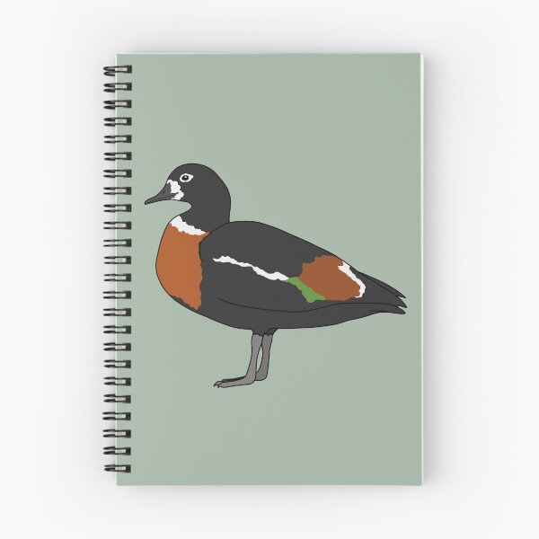 Item preview, Australian shelduck designed and sold by taylorrowan.