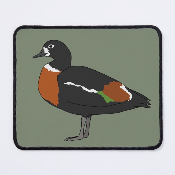Item preview, Australian shelduck designed and sold by taylorrowan.