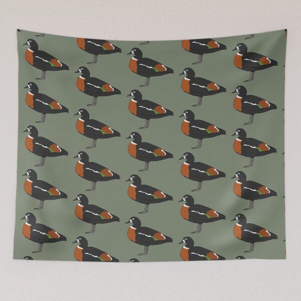 Item preview, Australian shelduck designed and sold by taylorrowan.
