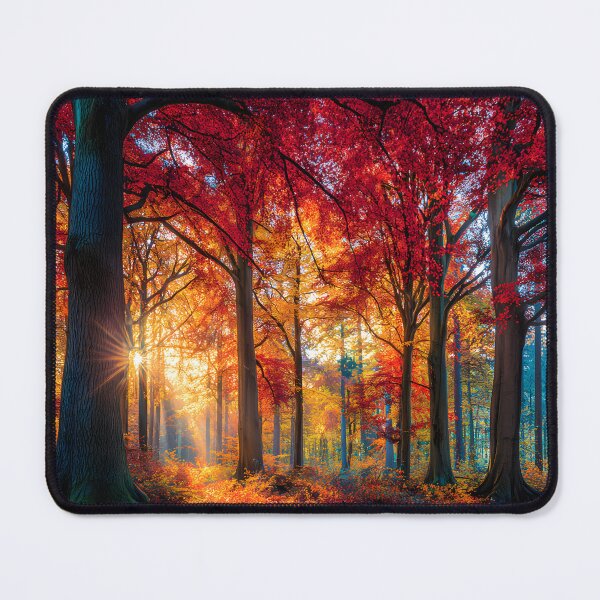 Item preview, Vibrant Autumn Forest with Golden Sunlight Effects designed and sold by Artessie.
