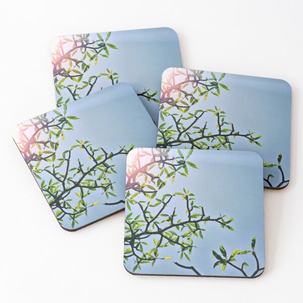 Item preview, Sunlight Green Leaves Against Blue Sky | Minimal Nature Aesthetic Photography designed and sold by Anicoa.
