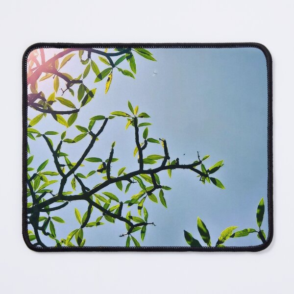 Item preview, Sunlight Green Leaves Against Blue Sky | Minimal Nature Aesthetic Photography designed and sold by Anicoa.
