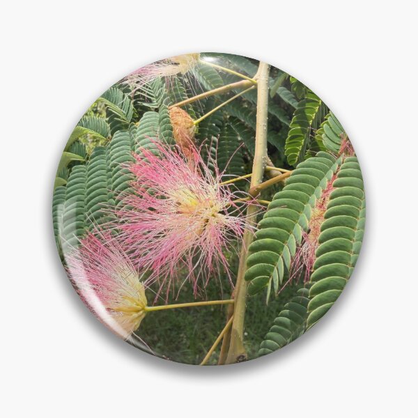 Item preview, The Mimosas sweetly bloom in the south. designed and sold by Pearls1.
