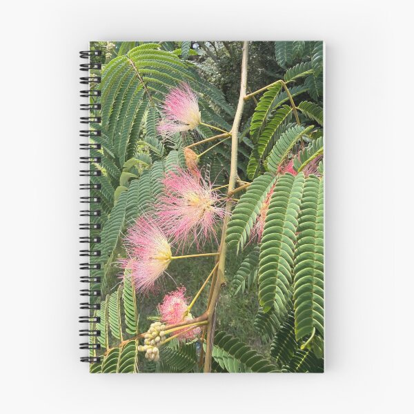 Item preview, The Mimosas sweetly bloom in the south. designed and sold by Pearls1.