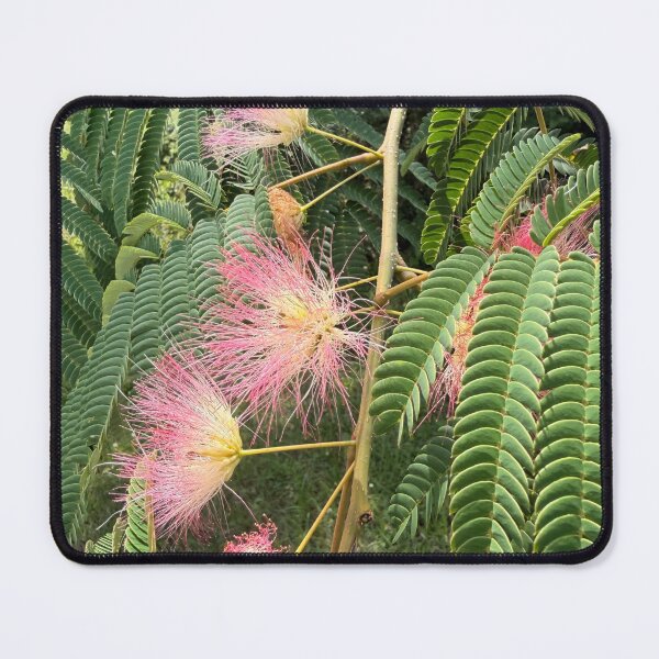 Item preview, The Mimosas sweetly bloom in the south. designed and sold by Pearls1.