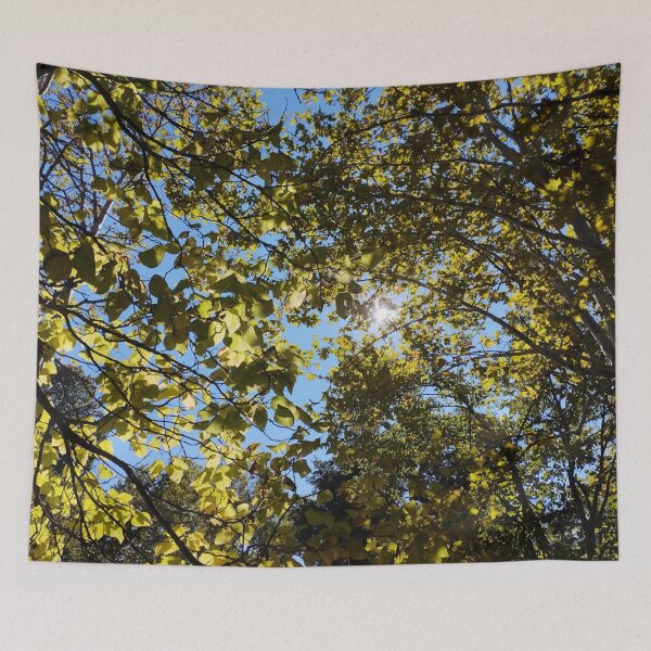 Item preview, Autumn Color in Sunlight designed and sold by inspiration3.