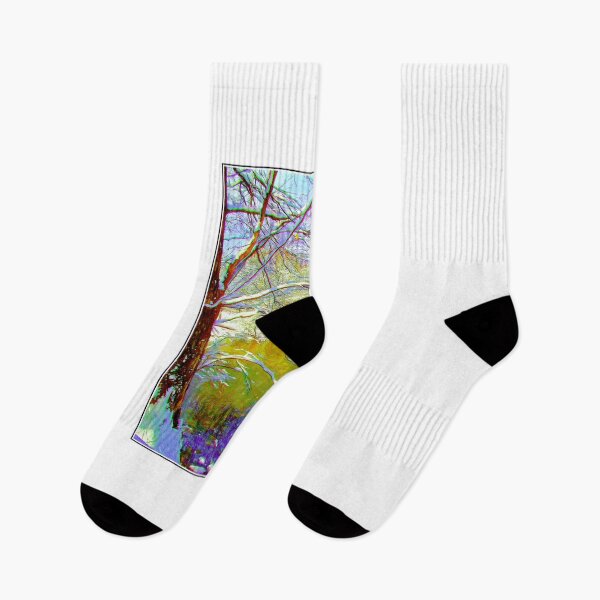 Item preview, Woodland Stream on a Bright, Winter Afternoon, Digital Illustration designed and sold by AMacGPhilly.