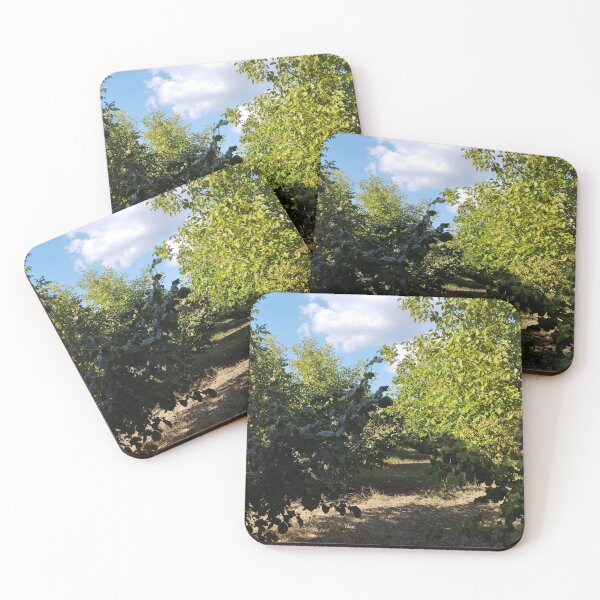 Item preview, Garden with Walnut and Hazelnut Trees in Late Summer designed and sold by inspiration3.