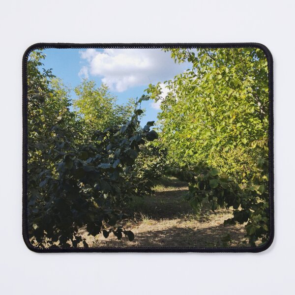 Item preview, Garden with Walnut and Hazelnut Trees in Late Summer designed and sold by inspiration3.
