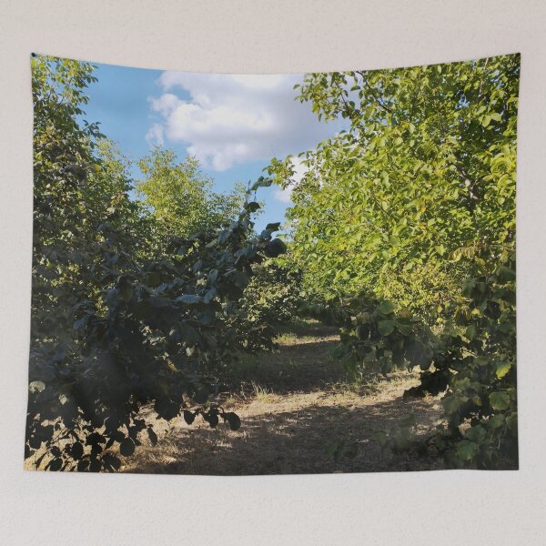 Item preview, Garden with Walnut and Hazelnut Trees in Late Summer designed and sold by inspiration3.