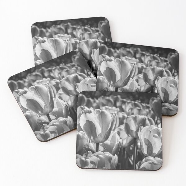 Item preview, Light and Petal — Tulips in Black and White designed and sold by Rabee Khalil Photography.