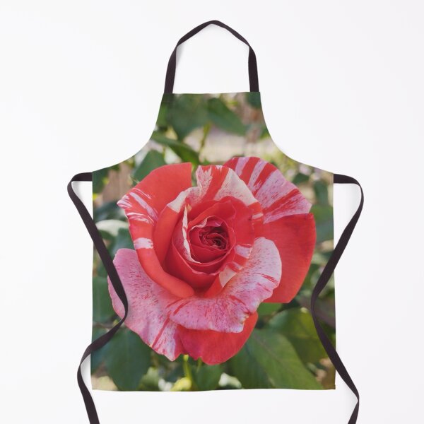 Item preview, Gorgeous Neil Diamond Rose Close-Up designed and sold by inspiration3.