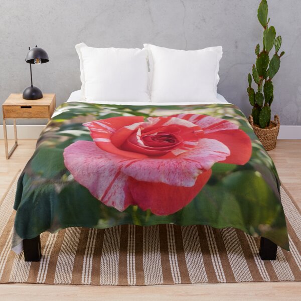 Item preview, Gorgeous Neil Diamond Rose Close-Up designed and sold by inspiration3.