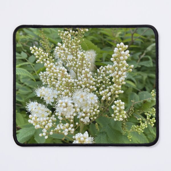 Item preview, Pretty False Spiraea designed and sold by Mychaila's Creations.
