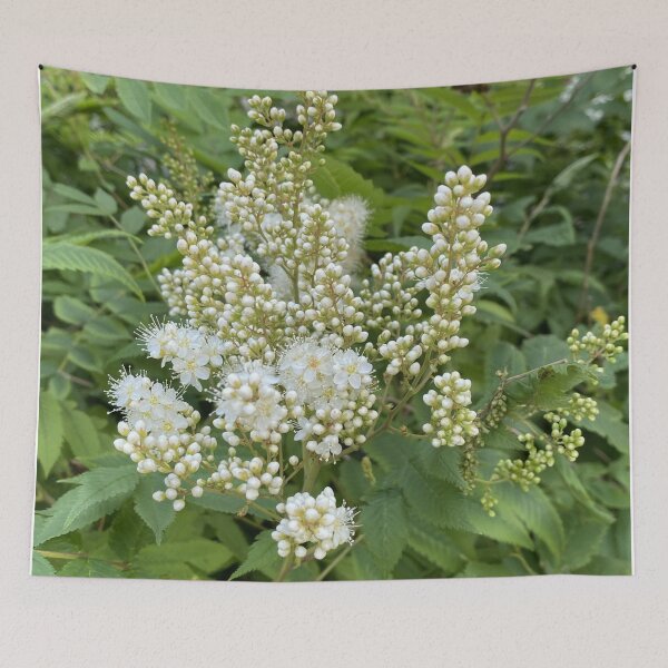 Item preview, Pretty False Spiraea designed and sold by Mychaila's Creations.