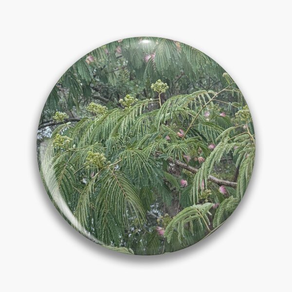 Item preview, Sweet tea and mimosa trees designed and sold by Pearls1.
