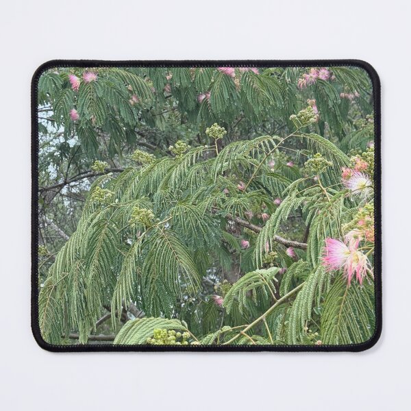 Item preview, Sweet tea and mimosa trees designed and sold by Pearls1.