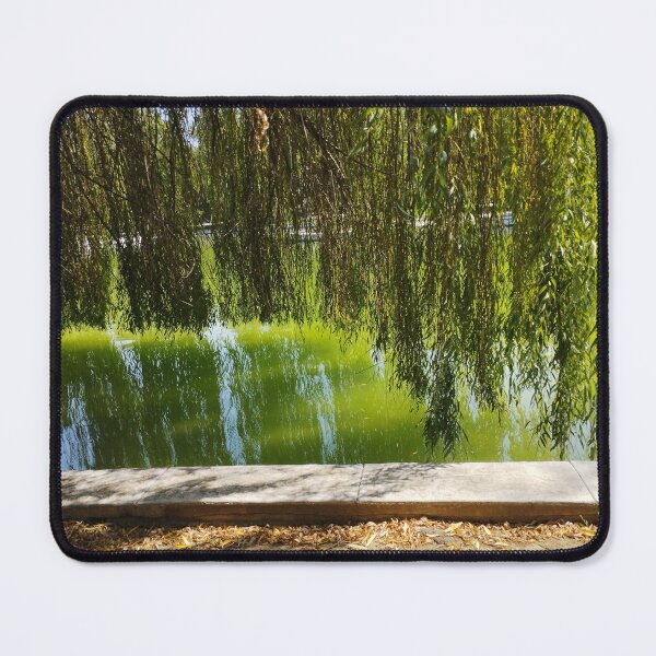 Item preview, Close-Up of Weeping Willow by the Lake designed and sold by inspiration3.