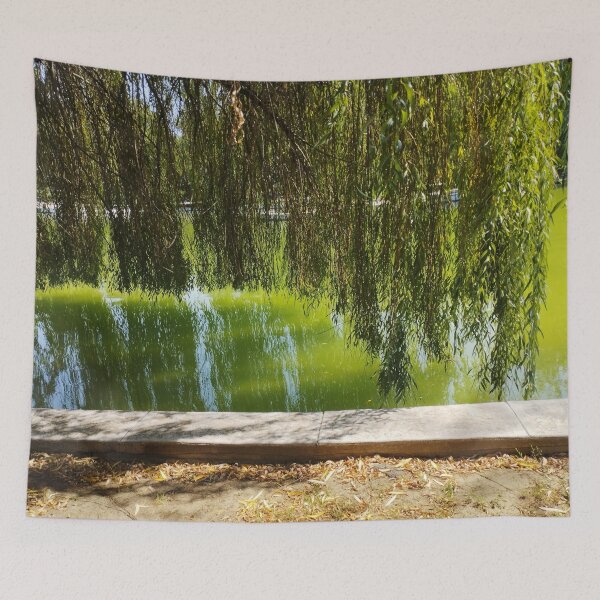 Item preview, Close-Up of Weeping Willow by the Lake designed and sold by inspiration3.