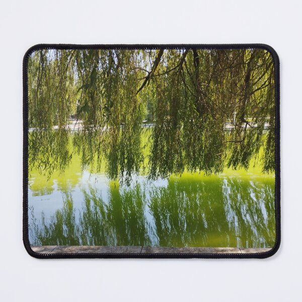 Item preview, Close-Up of Weeping Willow by the Lake designed and sold by inspiration3.
