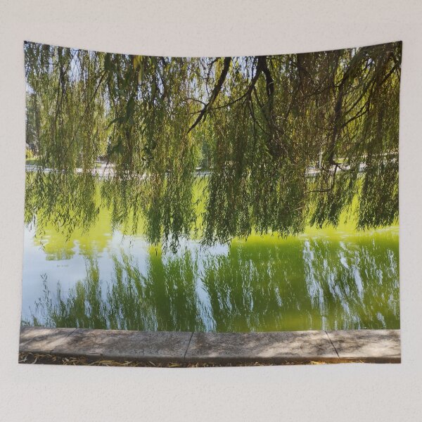 Item preview, Close-Up of Weeping Willow by the Lake designed and sold by inspiration3.