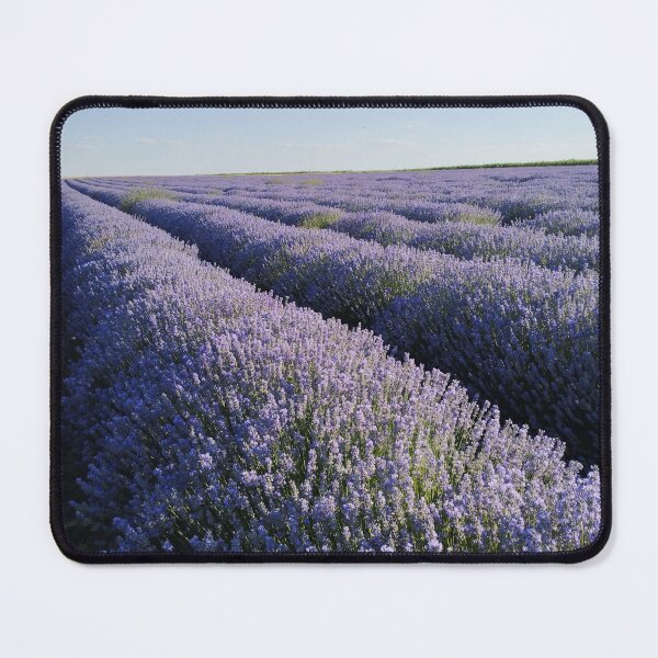 Item preview, Lavender landscape, Purple blooms, Floral beauty. designed and sold by inspiration3.