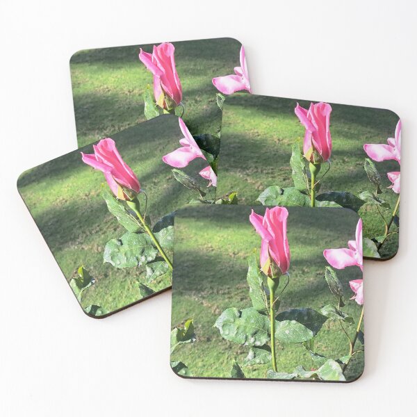 Item preview, beautiful  roses flowers in the garden designed and sold by sadeek1021953Ss.