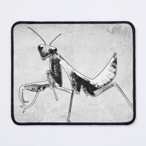 Item preview, Praying Mantis II Dark Macro Entomology Specimen Art designed and sold by Ghoul Enterprises.