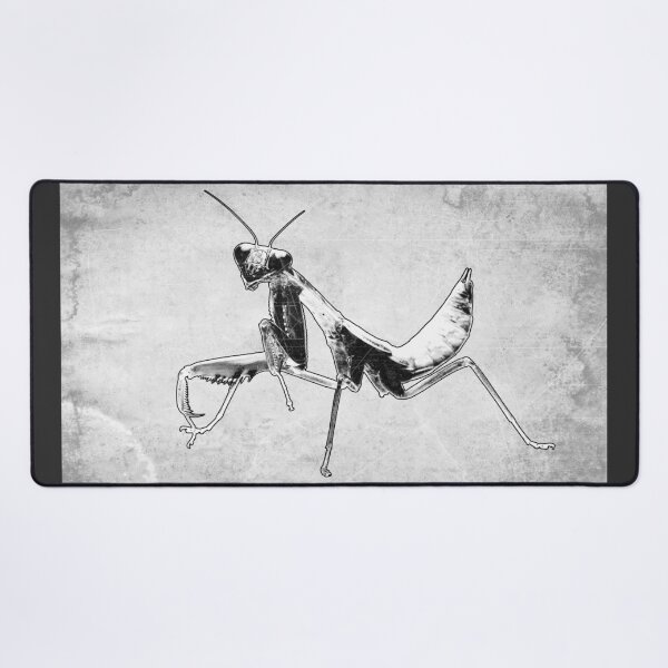Item preview, Praying Mantis II Dark Macro Entomology Specimen Art designed and sold by Ghoul Enterprises.