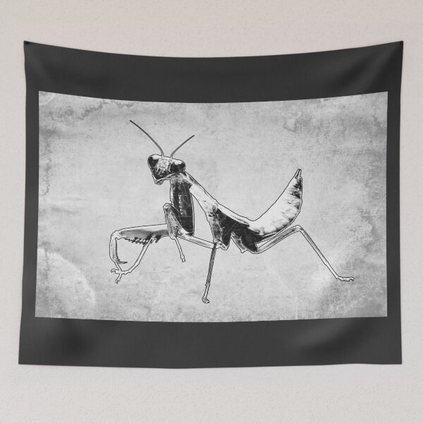 Item preview, Praying Mantis II Dark Macro Entomology Specimen Art designed and sold by Ghoul Enterprises.