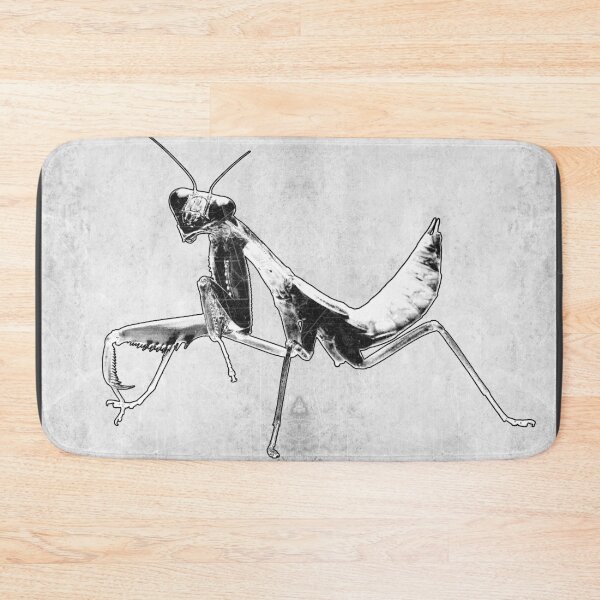 Item preview, Praying Mantis II Dark Macro Entomology Specimen Art designed and sold by Ghoul Enterprises.