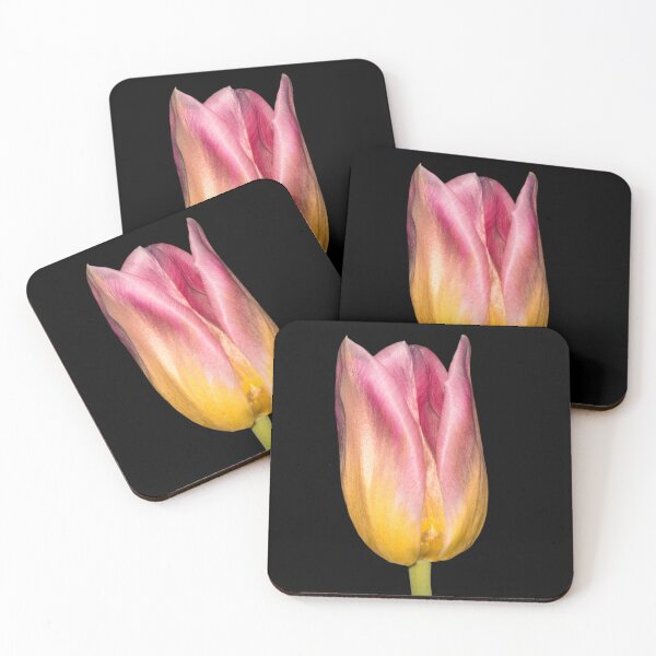 Item preview, Flame & Honey — Pink and Yellow Tulip on Black designed and sold by Susarellis.