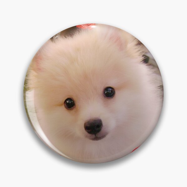 Item preview, Dog sticker, cute dog, pomeranian, dog lover, kawaii sticker, puppy designed and sold by Cocohappysmiles.