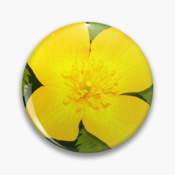 Item preview, The Buttercup Tells No Lies — Golden Wildflower Macro Botanical Art designed and sold by Susarellis.