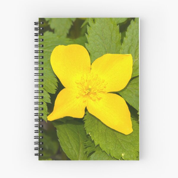 Item preview, The Buttercup Tells No Lies — Golden Wildflower Macro Botanical Art designed and sold by Susarellis.