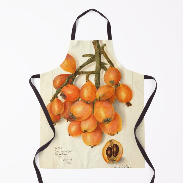 Item preview, Loquat Botanical Illustration 1908 designed and sold by Glimmersmith.