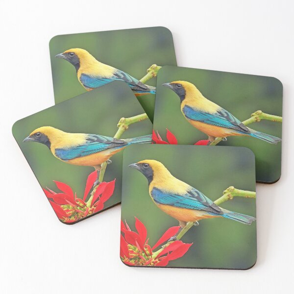 Item preview, Burnished-buff Tanager Tangara cayana designed and sold by MorningFive.