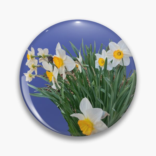 Item preview, Bicolor Daffodils  designed and sold by Amanda1775.