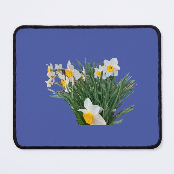 Item preview, Bicolor Daffodils  designed and sold by Amanda1775.
