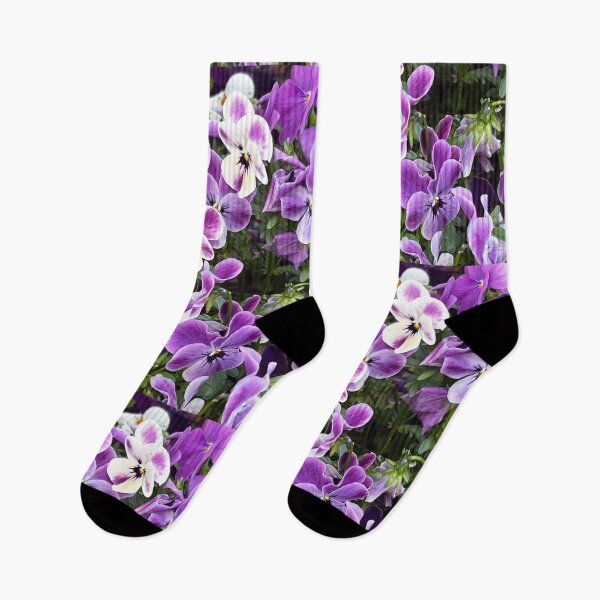Item preview, Pansies in Japan 2 designed and sold by MelnDesign.
