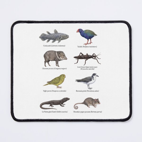 Item preview, Lazarus Taxa Rediscovered Species designed and sold by ArunDandiboina.