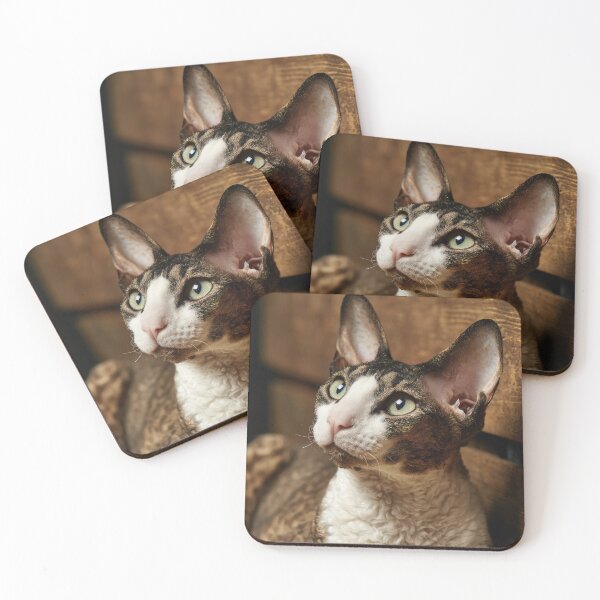 Item preview, Cornish Rex Cat designed and sold by Elisabeth Lucas.